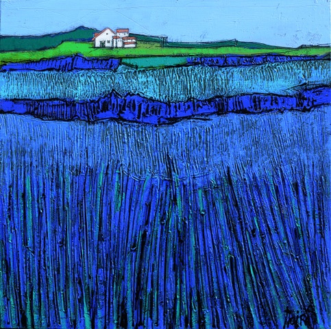 Lavandes du Luberon