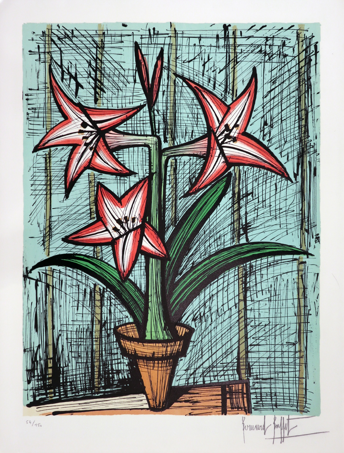 Amaryllis