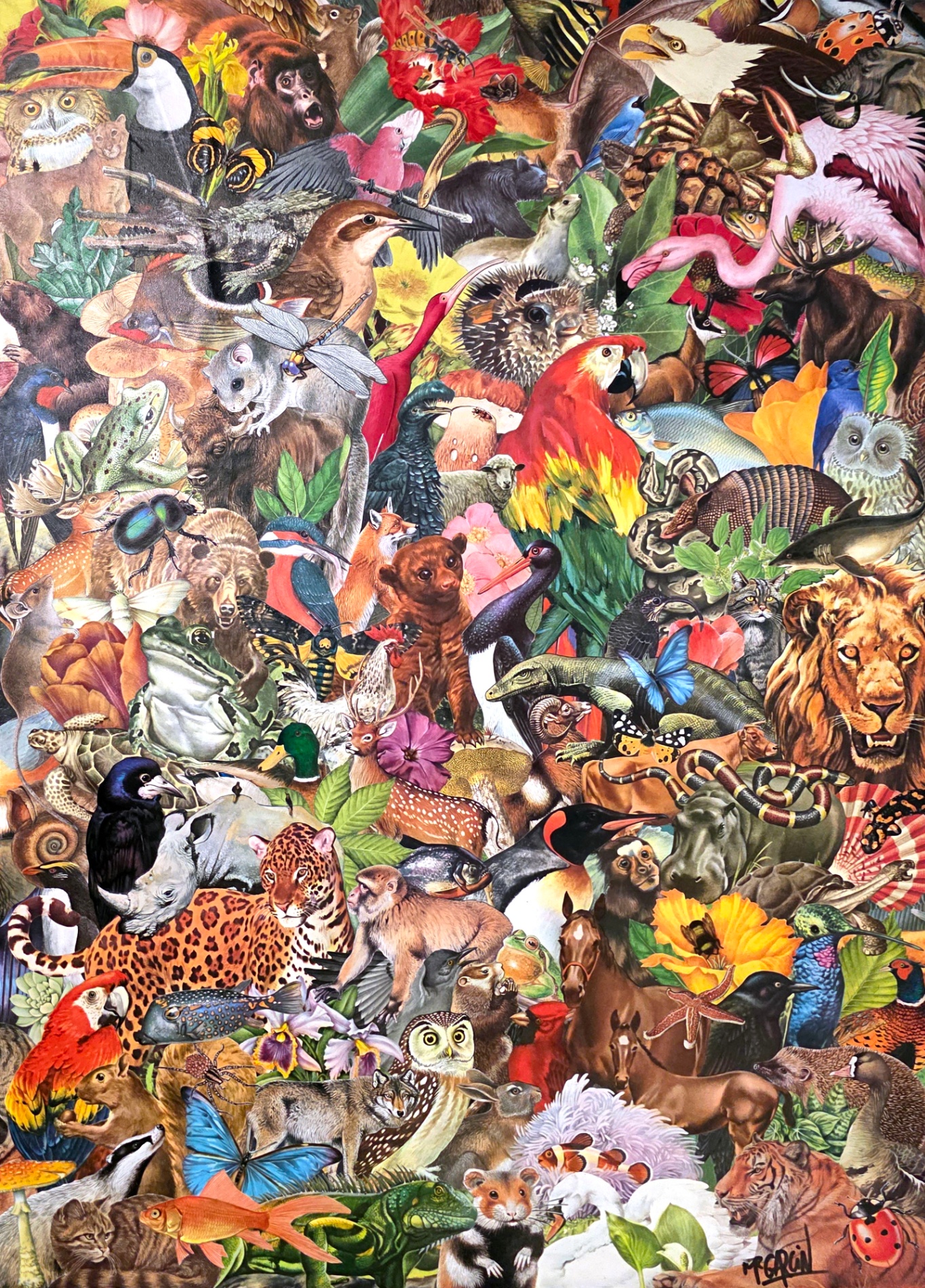 Les animaux du monde