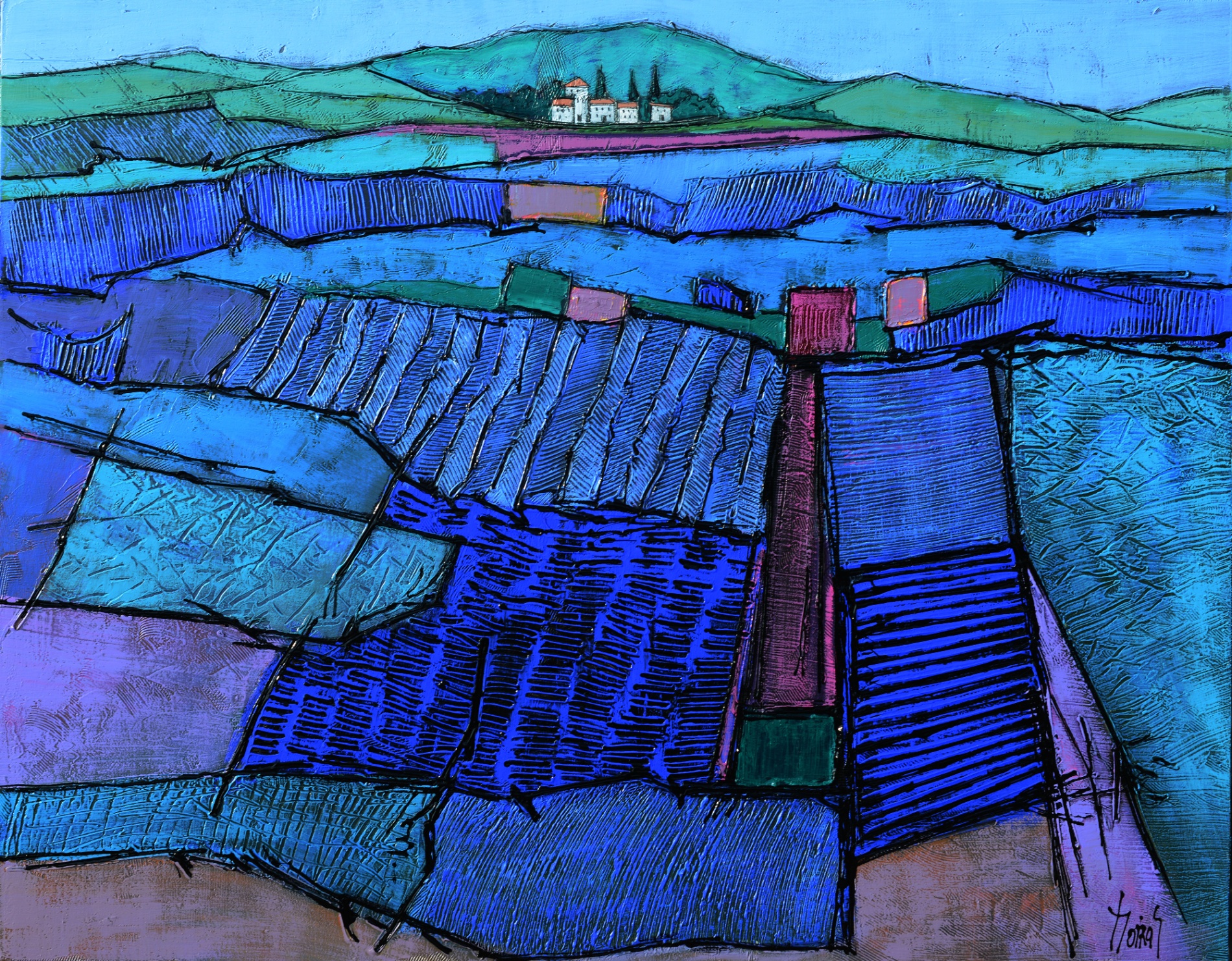 Lavandes en Luberon